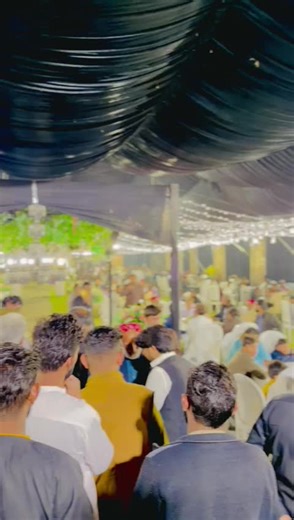 Bhai logo (@bhai.logo3)’s videos with original sound - sindhestic