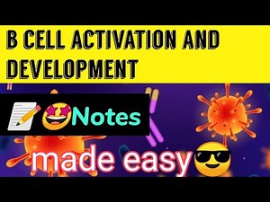 B cell Activation & Development || Notes 📝🔥|| Immunology🤓
