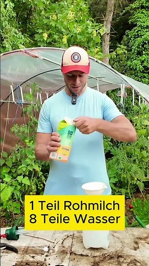 Home remedies for powdery mildew 😀 #shorts