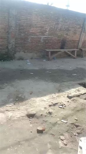 Camera Comparison: iPhone 11 vs Android Phones