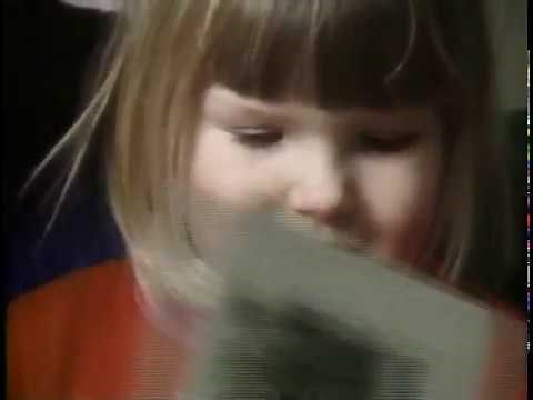 Teratogens and Their Effects on the Developing Brain and Mind