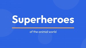 Top Earning Veterinary Careers: Where Passion Meets Paycheck