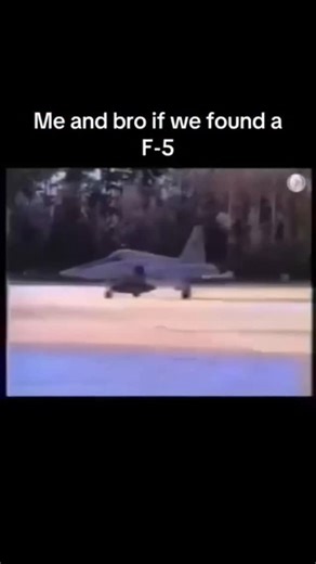 Martin on Instagram: "In 1973, the F-5 Tiger II's exceptional maneuverability allowed it to outperform heavier fighters during a US Air Force evaluation. The F-5's compact design enabled it to operate from short runways, making it ideal for export. Declassified documents reveal the F-5's pivotal role in Vietnam War air support missions. Sources: 1. "F-5 Tiger II" by David Donald 2. "US Air Force F-5 Tiger II" by Air Force Historical Studies Office *Additional Fact* The F-5 features a unique blen