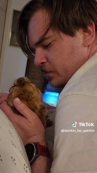 Adorable Chihuahua Building Trust with Owner | Peter Merkin