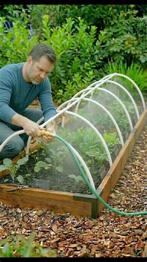 Clever DIY Garden Watering Hacks