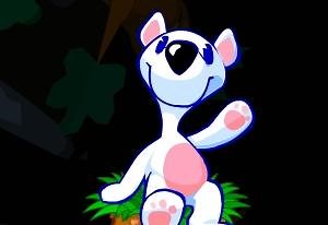 Snowy: Puzzle Islands