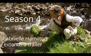 43 reactions · 13 shares | If you missed out on the first half of...