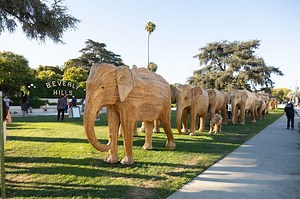 The Great Elephant Migration | Art in Los Angeles