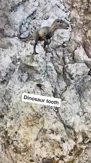 Discover the Fascinating World of Dinosaurs with Katherine Weatherford