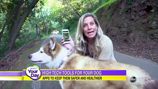 Dog Apps Promise to Monitor Your Pet's Movements