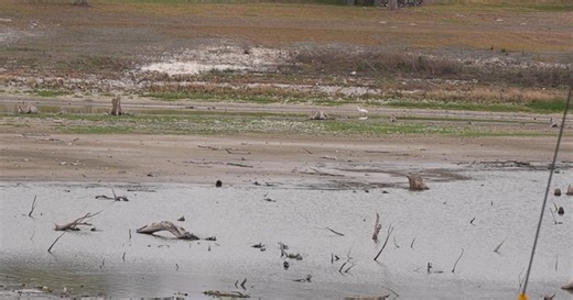 Lake Corpus Christi drops below 10% capacity for first time as city eyes Level 1 emergency