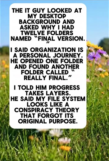 The IT guy opened ONE folder #computer #funny #it #jokes #tech