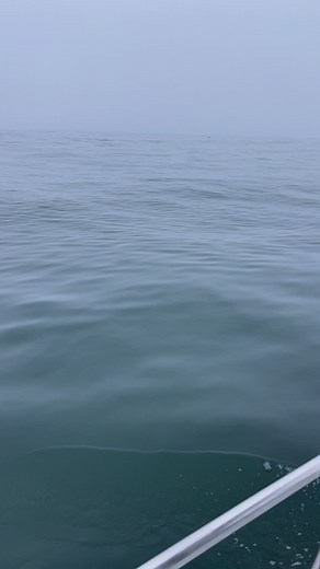 For those of you who say they aren’t alive…They are! :) | Slater Moore Photography