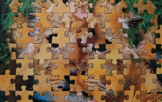 The replication crisis may also be a theory crisis