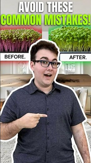 Microgreen Watering Secrets: Avoid These Common Mistakes!