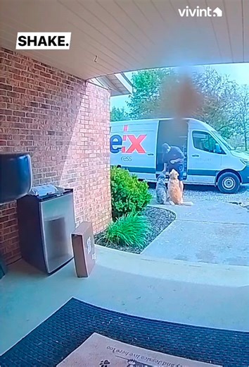 Funny Deliveryman And Dog #delivery#deliverymananddog#dog#funnypet#fyp | dog