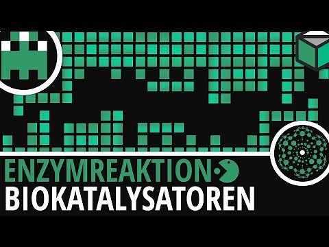 Enzyme reaction explained simply│Biology learning video [Learning Level Up]