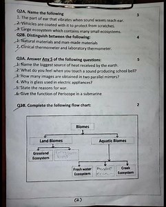 Std 8, Science final paper.