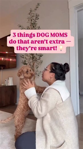 💌 SHARE WITH A FELLOW DOG MOM! 💗FOLLOW FOR MORE DOG MOM TIPS!💗 We’re not being extra — we’re just being prepared 💅 These 3 dog mom habits actually make life easier (for you and your pup). Which one are you already doing? #dogparents #petparent #dogmomaf #goldendoodlecentral | Mini Goldendoodle S O F I A