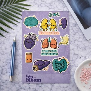Biomedical Organ Sticker Sheet – Anatomy Vinyl Stickers - Etsy Australia