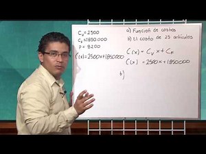 Application of the equations: revenue, cost, and profit