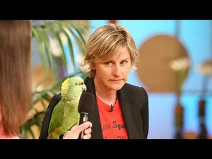 Ellen Meets a Singing Parrot!