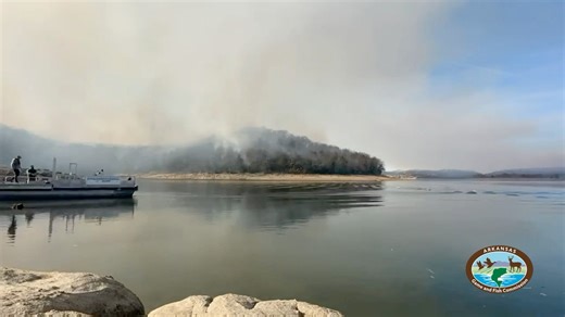 8.4K views · 93 reactions | Our Fisheries Division is in its second...