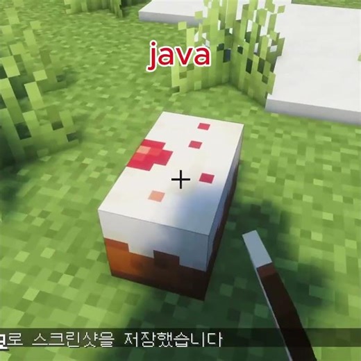 Minecraft java cake vs bedrock cake