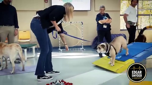 We're proud to announce that in 2023, our firm donated $15,000 to Animal Friends for training programs and vaccine clinics! We also had the pleasure of taking part in a dog training 101 lesson with the one and only Kris Letang (and more than a few suprise puppies!) Thank you to Animal Friends for all you do for our furry pals. We can't wait to work together again in 2024! | Animal Friends 🐱 | Edgar Snyder & Associates