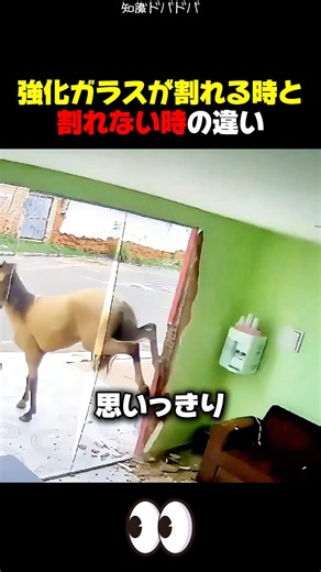 強化ガラスはどんな時に割れて、どんな時に割れないのか？