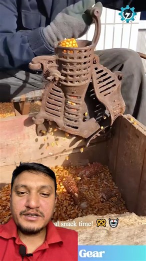 Manual Corn Sheller Machine Fast & Easy Maize Processing #CornSheller #FarmingTools #Agriculture #yt