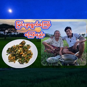 1M views · 10K reactions | တောသဘာဝ တောအလှကို ကြည့်ရှုခံစားရင်း လယ်တောထဲမှာ မြင်းခွာရွက် ကြော်စားမယ် မြင်းခွာရွက်ကြော် ကြော်နည်းလေး ရိုက်ကူးတင်ဆက် မျှဝေပေးလိုက်ပါတယ်ဗျ | Cooking for you T.H.A | Facebook