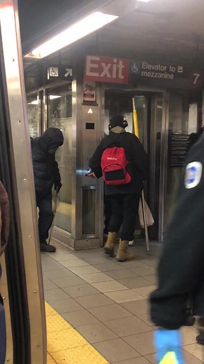 SubwayCreatures on TikTok