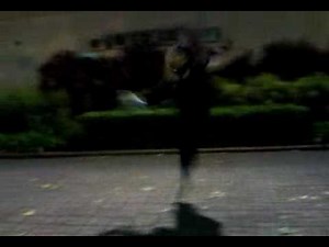 Northern Shaolin Luohan 18 Hands 少林罗汉十八手