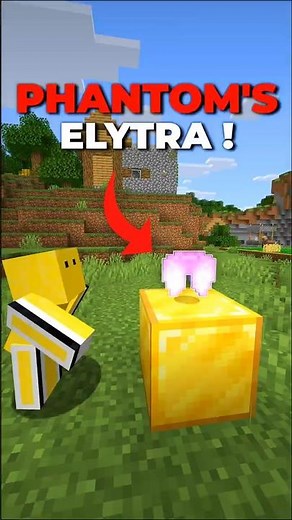 This Mod Adds Handcrafted Elytra ! #minecraft #shortsfeed #ytshorts