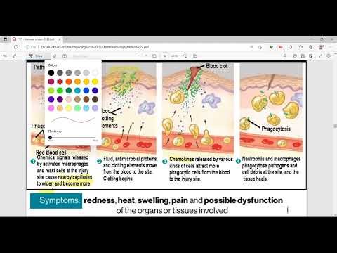 Immune System Physiology Sinhala Presentation- Part 2