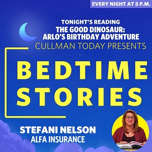 3.2K views · 16 reactions | ✨ As the stars begin to twinkle over...