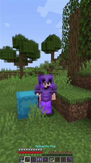 I Found the SECRET to Making LEAVES SUPERPOWERED in Minecraft!