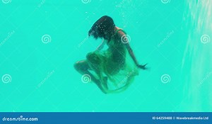 Woman Diving Swimming Pool Stock Footage & Videos - 1,523 Stock Videos