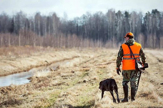 Top Lightweight Shotguns for Fall 2024 - Game & Fish