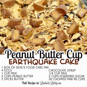 Peanut Butter Cup Earthquake Cake
