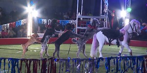 The All American Circus was clowning around at the Washington County Fairgrounds