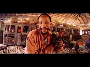 Them Mushrooms - Jambo Bwana | Zanzibar