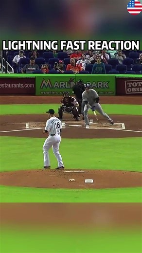 Baseball Highlights: Lightning Fast Reaction in MLB