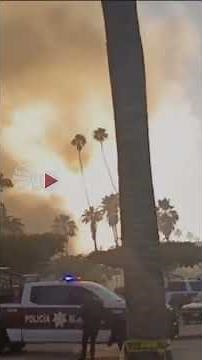 Incendio en Fiesta Las Palmas de Los Mochis deja cuatro muertos y 30 intoxicados
