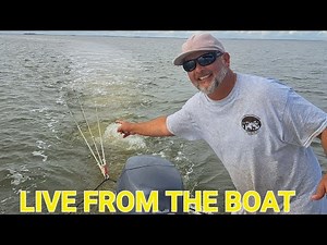 Live Streamed Small Boat Trawling for WHITE SHRIMP