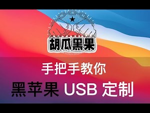 【胡瓜黑果】黑苹果为什么要定制USB？黑苹果定制USB教程