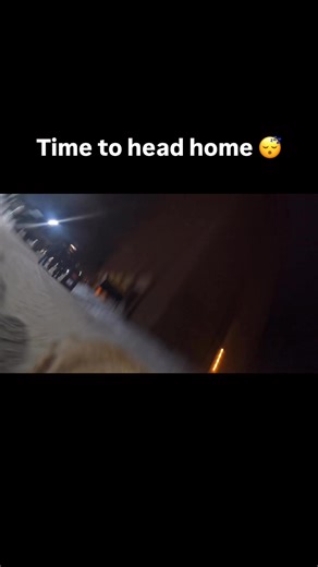 We love seeing all of our friends and family on campus during Michigan Tech Winter Carnival, especially those with four legs! Come along with Percy to experience Winter Carnival’s All-Nighter through a dog’s eyes! Did you bring your furry family members to campus? Share your pictures down below! | Michigan Technological University