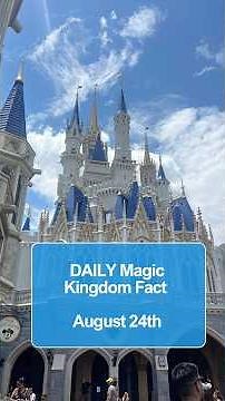 Cinderella’s Castle is only INCHES away from being illegal