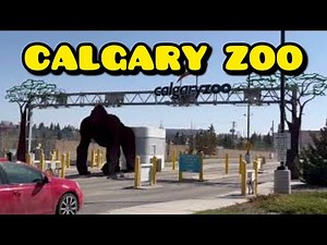 Exploring The Calgary Zoo Alberta Canada